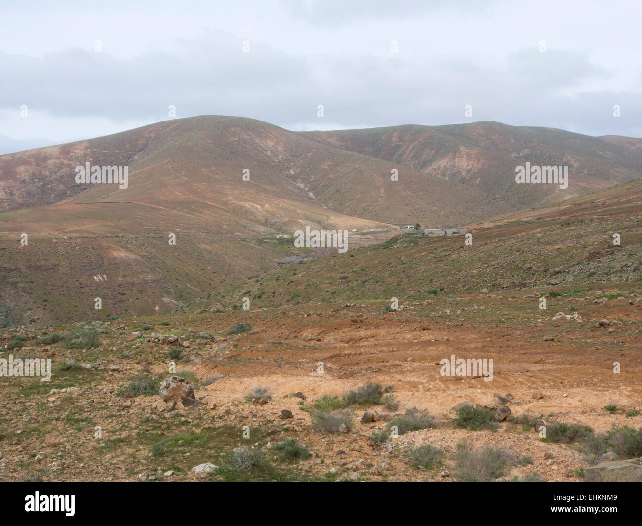 Vista panoramica delle colline di Fuerteventura Isole Canarie arido e secco con appena abbastanza impianti per le molte capre Foto Stock