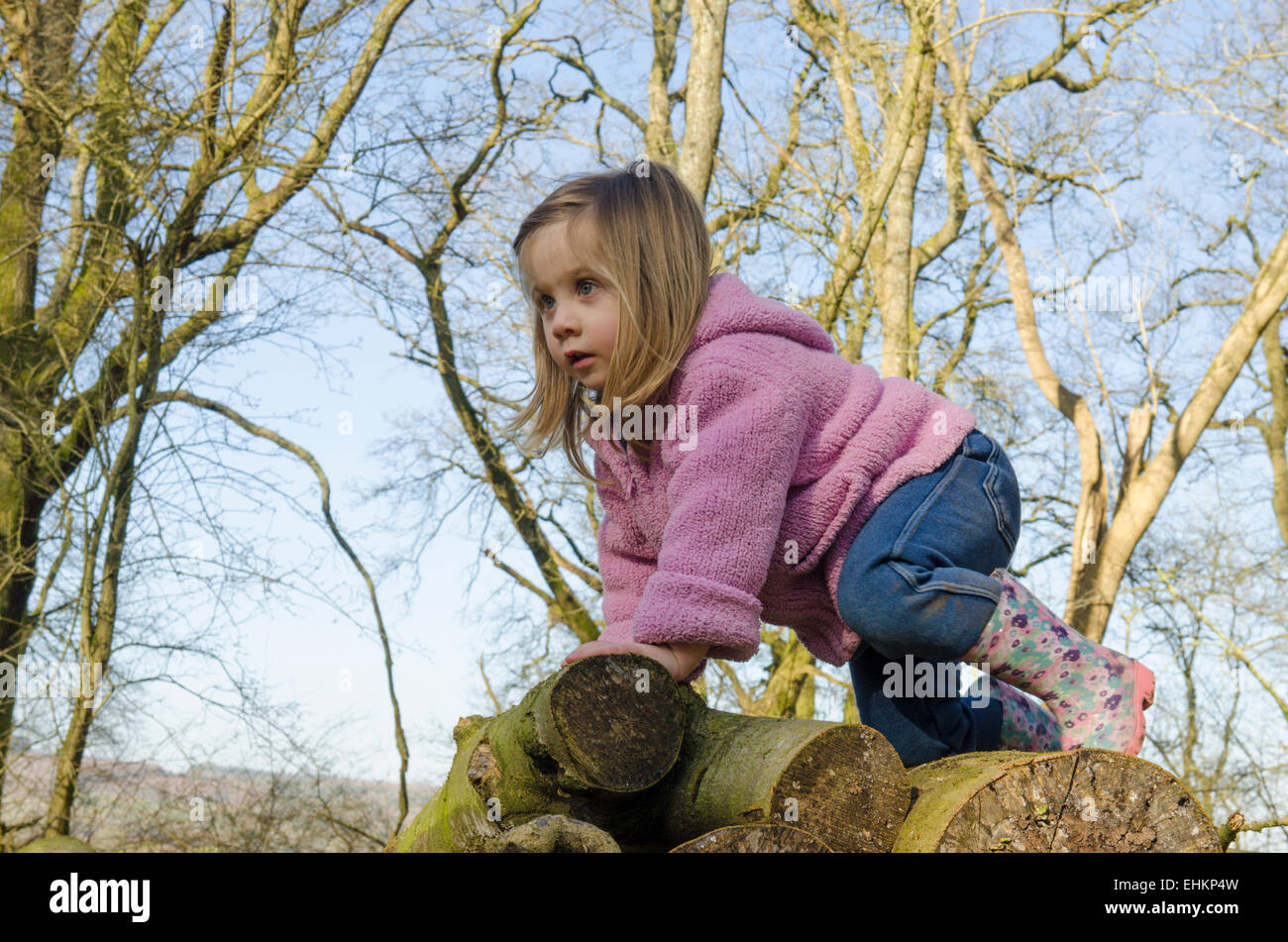 Bambina di due anni e mezzo il vecchio, arrampicata su una pila di registri nel bosco in inverno, Sussex, Regno Unito. Marzo. Foto Stock