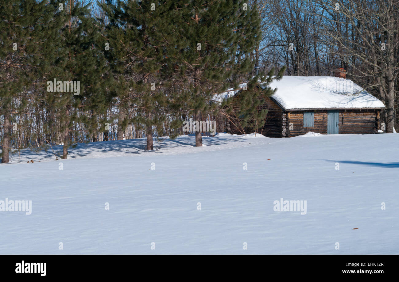 Cabina per i pini in inverno Foto Stock
