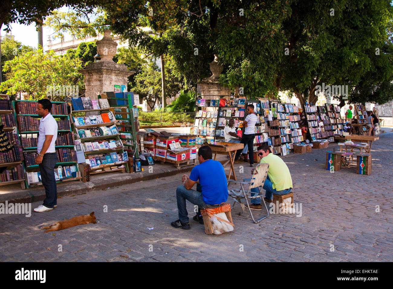 La seconda parte del mercato del libro in Plaza de Armas, Avana Vecchia, Havana, Cuba Foto Stock