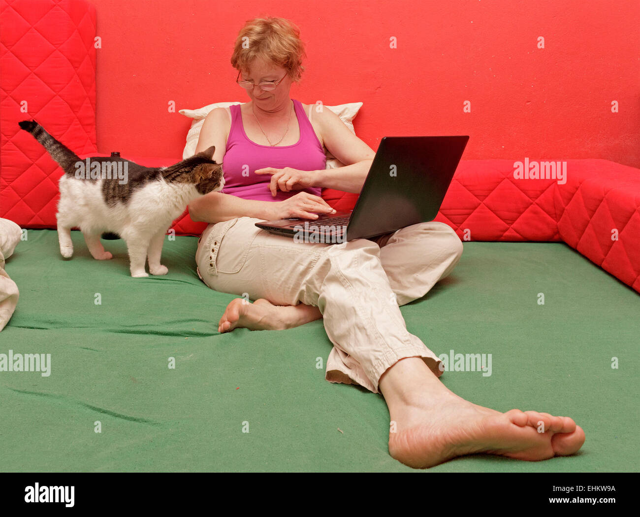 Donna con notebook seduta sul suo letto e il suo gatto accanto a lei Foto Stock