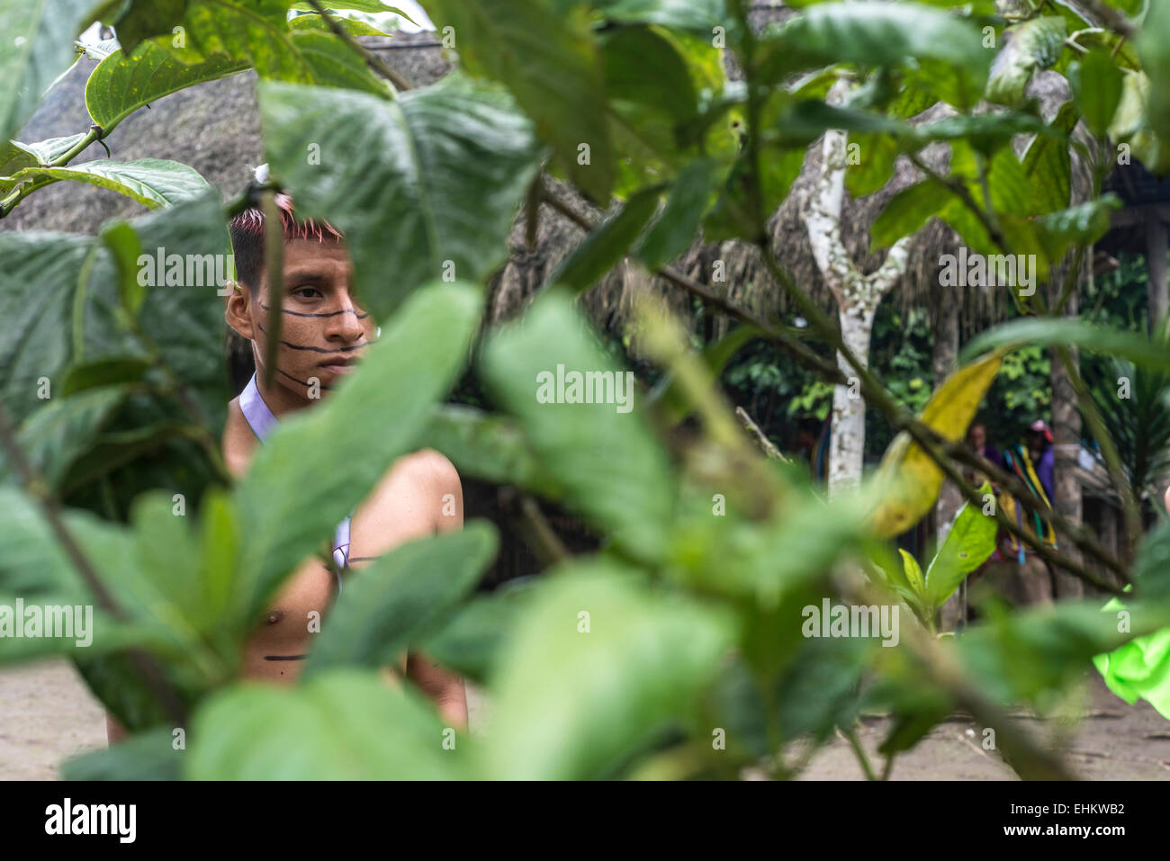 Uomo indiano Colorados (Los Tsáchila) tribù in vestiti nazionali Foto Stock