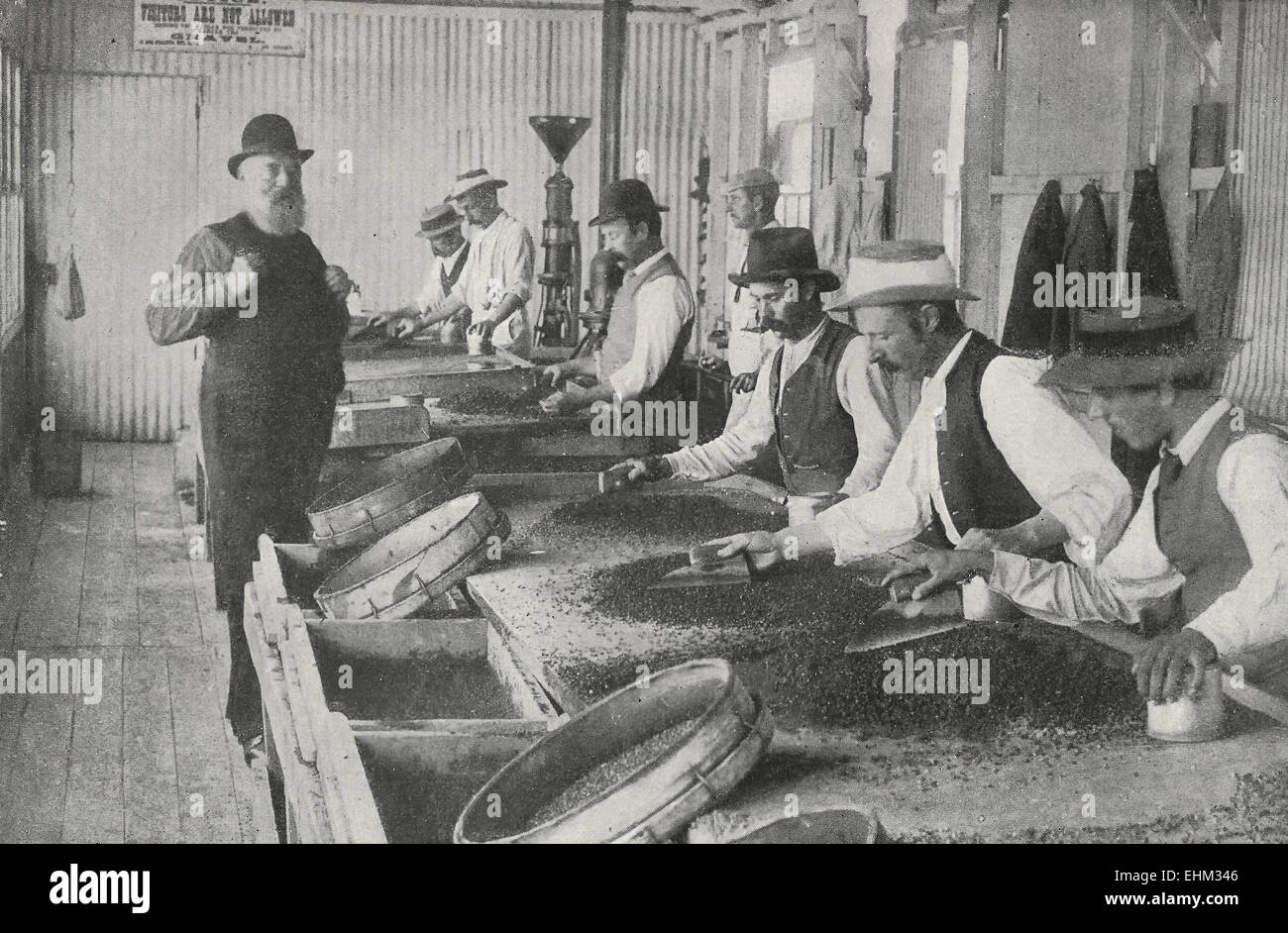 Setacciare la ghiaia per i diamanti - Kimberly miniere, Sud Africa, circa 1898 Foto Stock