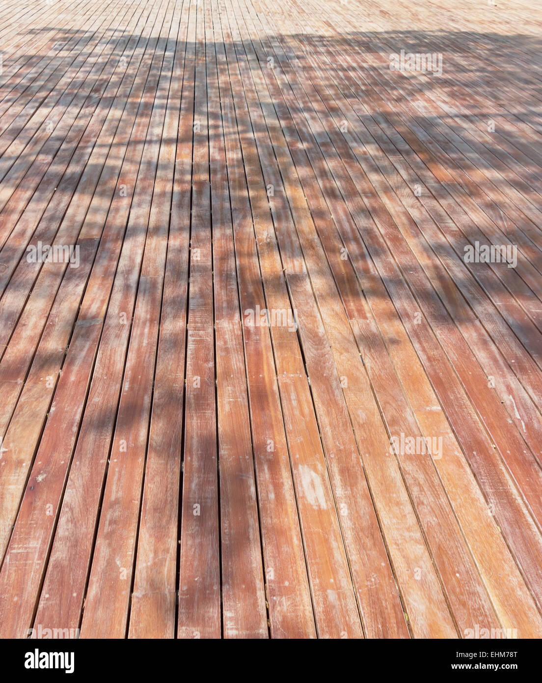 In prospettiva il pavimento in legno Foto Stock
