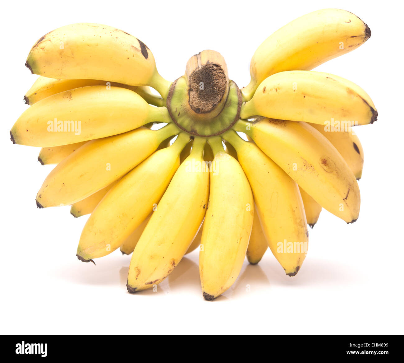 Mazzetto di baby banana isolato su sfondo bianco Foto Stock
