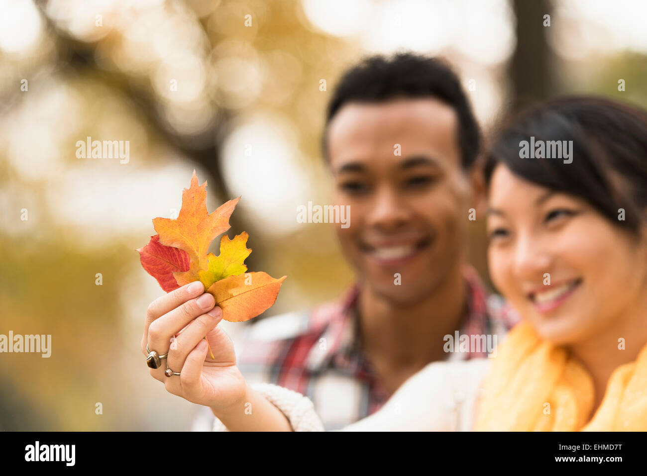 Giovane ammirando le foglie di autunno all'aperto Foto Stock