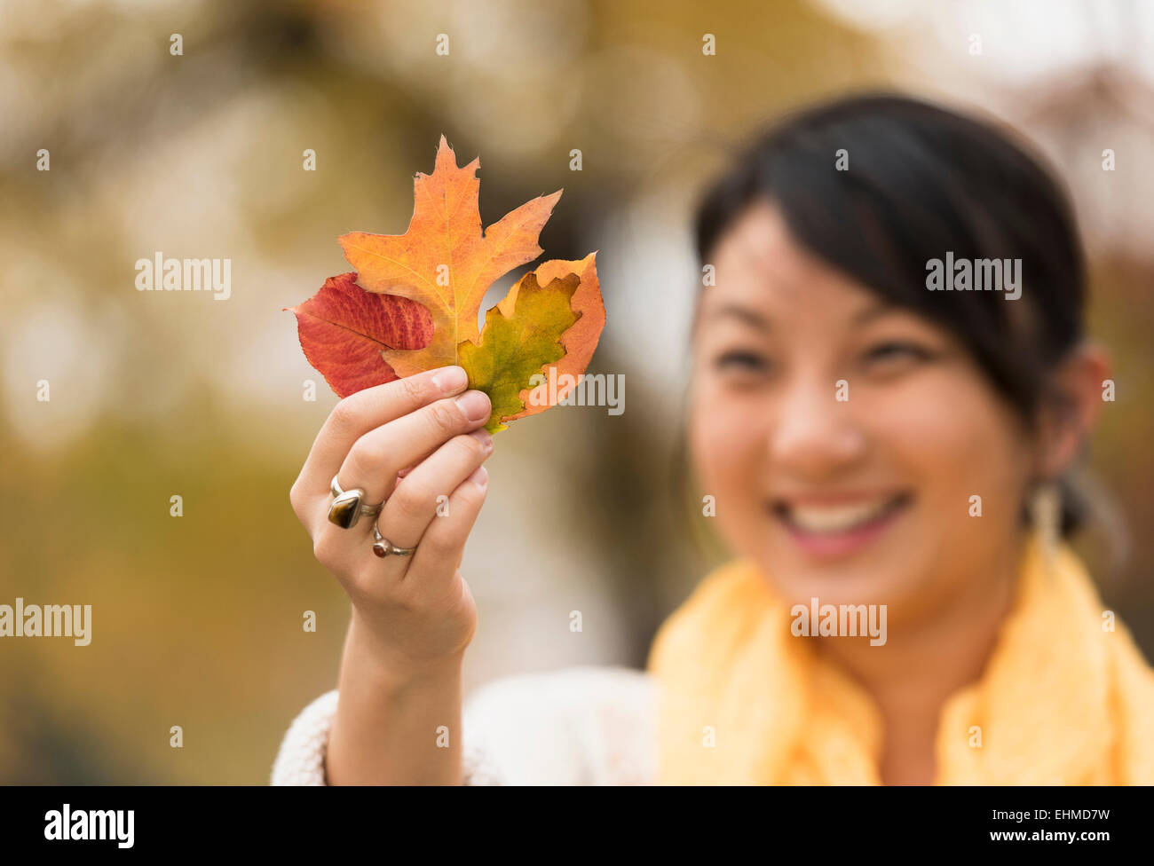 Donna asiatica ammirando le foglie di autunno all'aperto Foto Stock