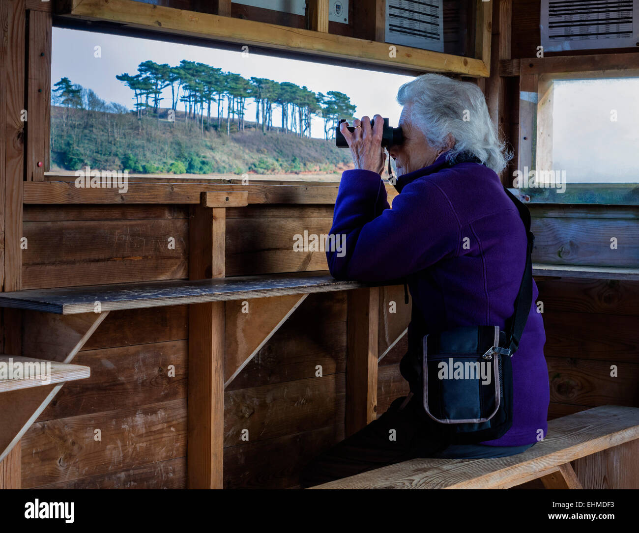Coppia Lady Birdwatching in un nascondere o "cieco" sulla Lontra di fiume, Budleigh Salterton, East Devon, Inghilterra, Regno Unito. Foto Stock