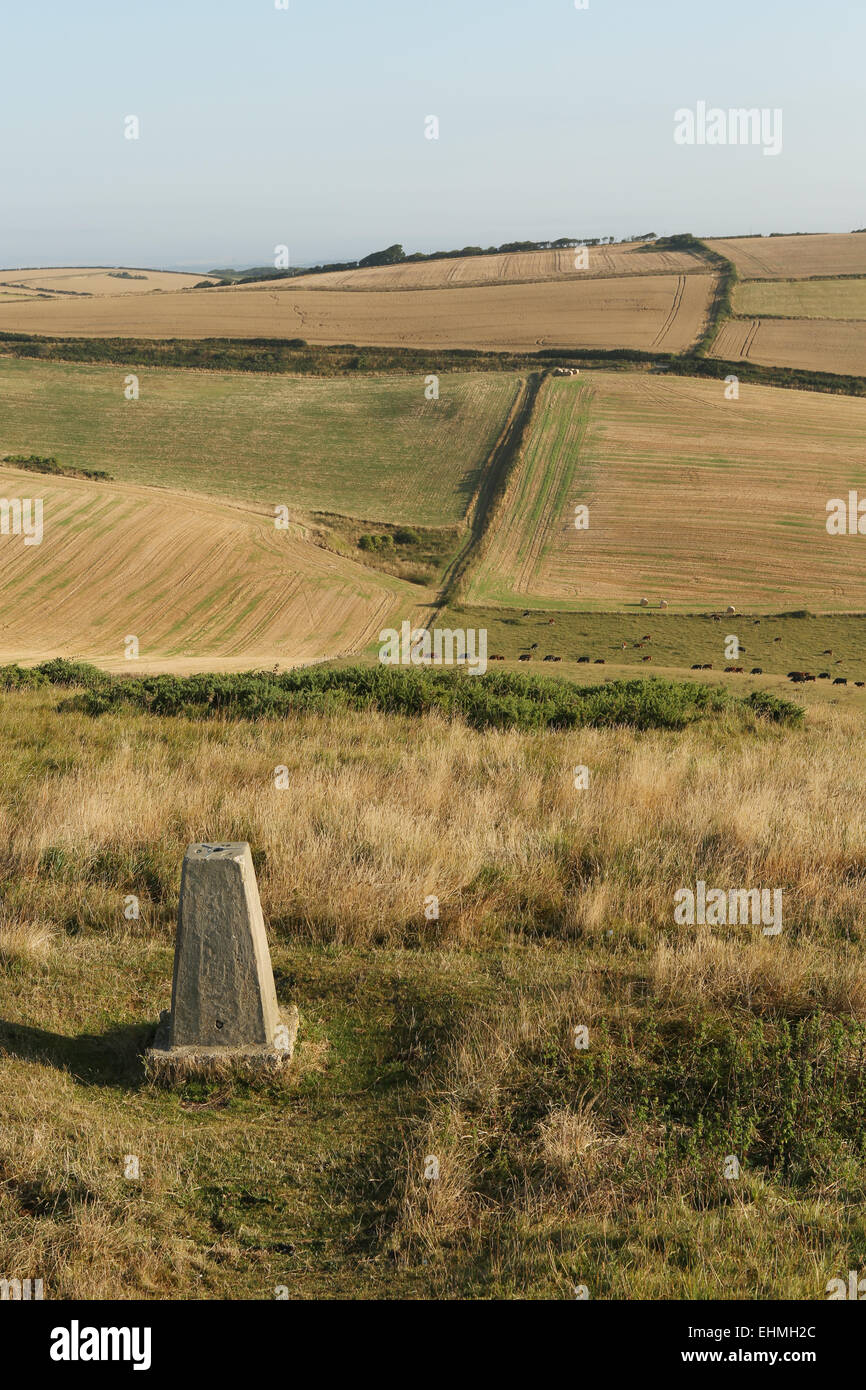 Il Dorset Regno Unito il paesaggio agricolo Foto Stock