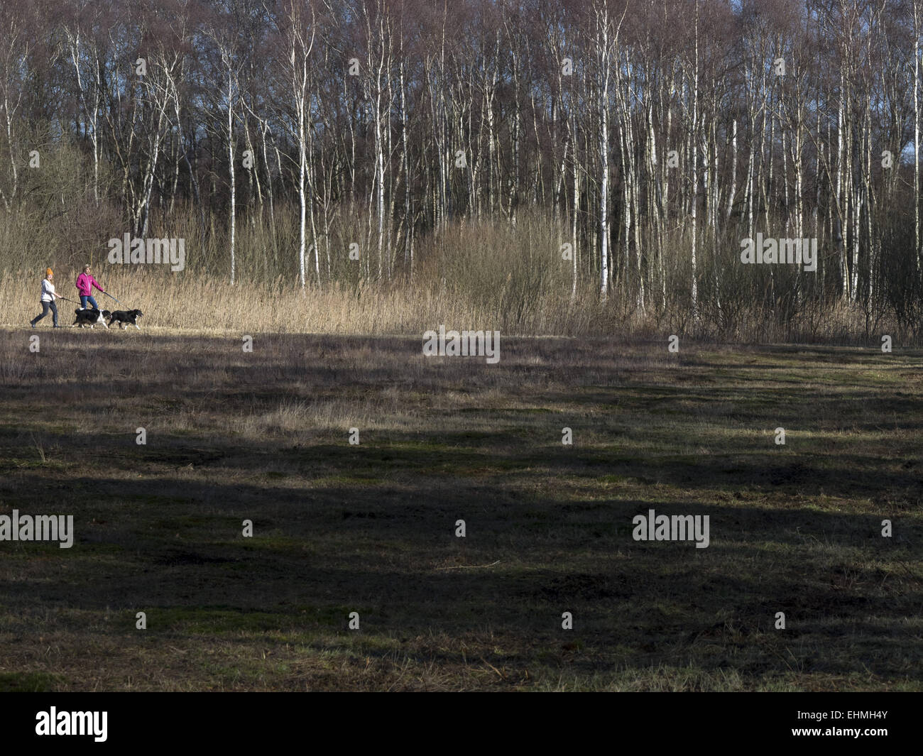 Due dog walkers a Holme Fen riserva naturale in Cambridgeshire Foto Stock