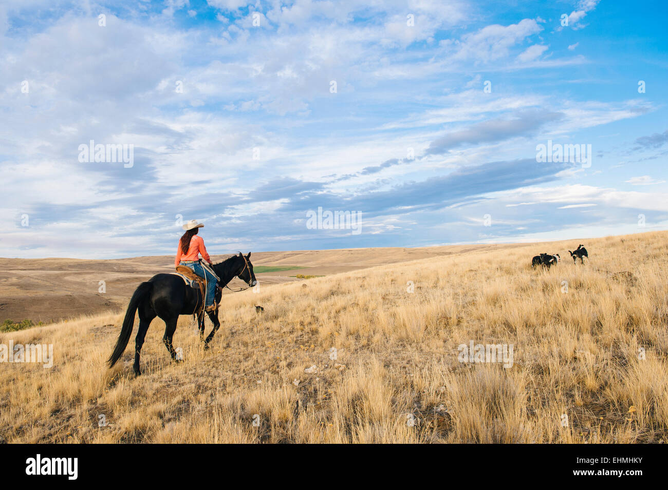 La donna caucasica equitazione sulla collina erbosa Foto Stock