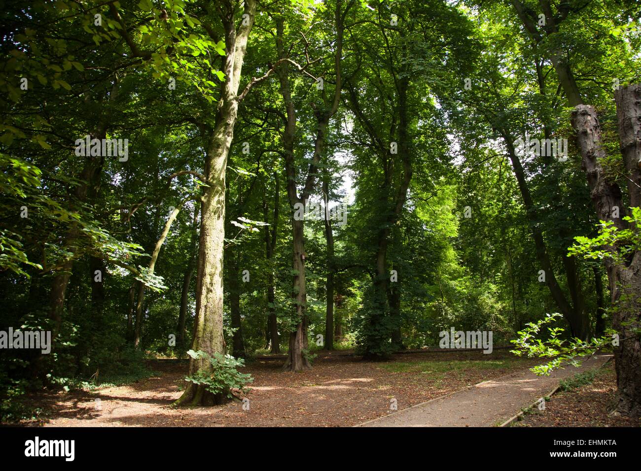 Glen Parva natura locale riserva, Leicester Foto Stock