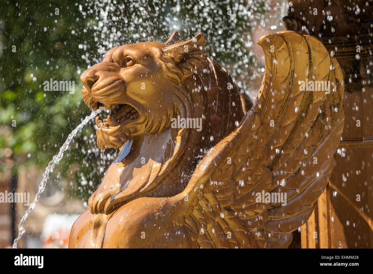 Fontana quadrata del Municipio, Leicester, con leoni dorati aldati di leoni d'oro che spruzzano acqua. Foto Stock