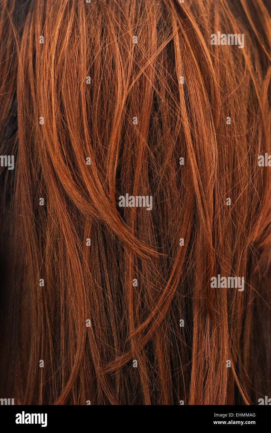 Capelli lunghi marrone texture di sfondo Foto Stock