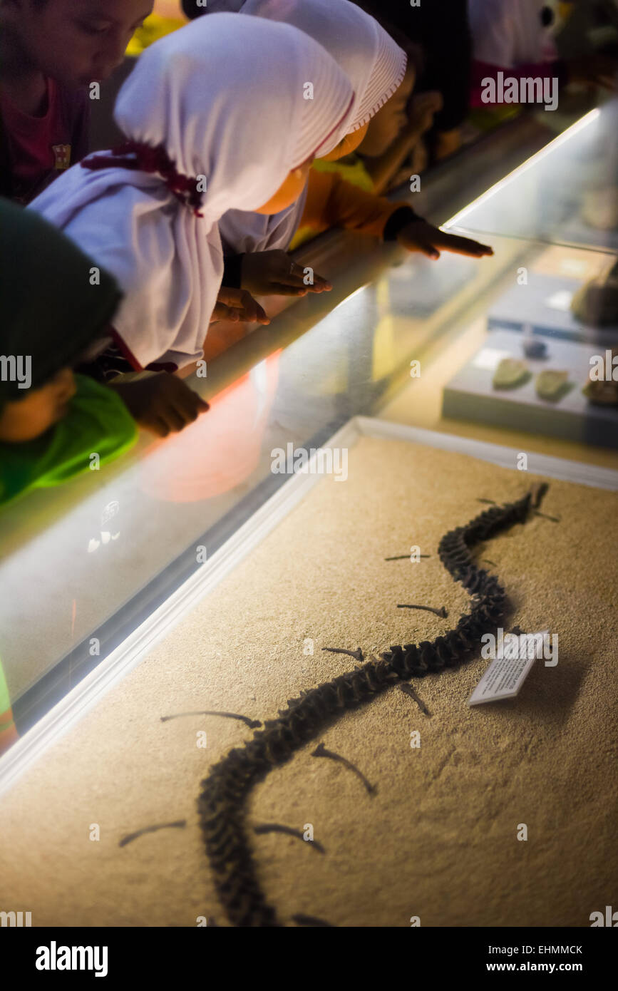 Gli allievi delle scuole stanno prestando attenzione ad una esposizione di un rettile al Museo Geologi (Museo di Geologia) a Bandung, Giava Occidentale, Indonesia. Foto Stock