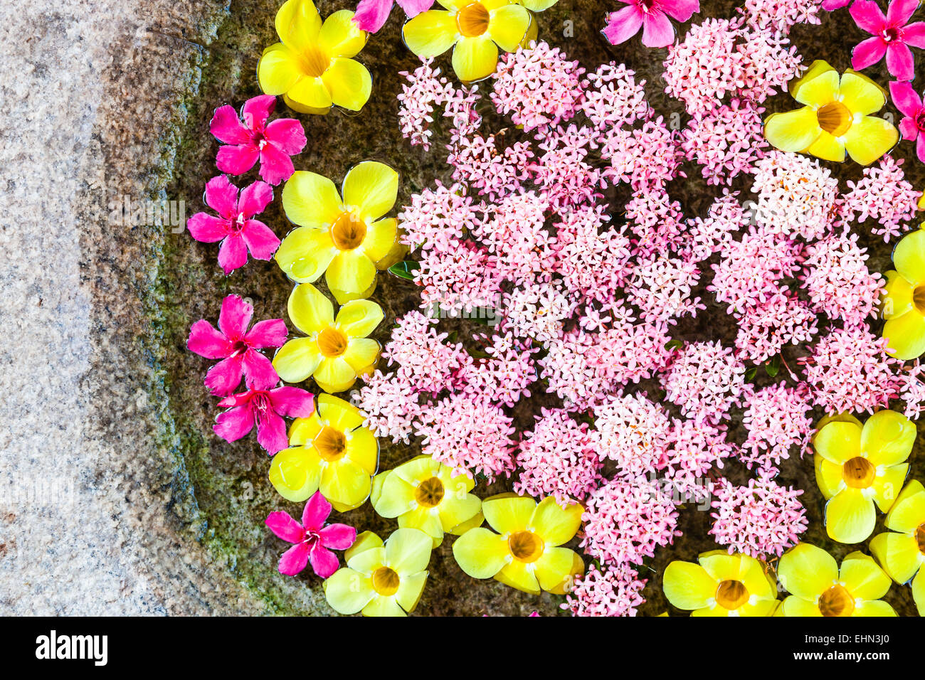 La decorazione floreale in India. Foto Stock