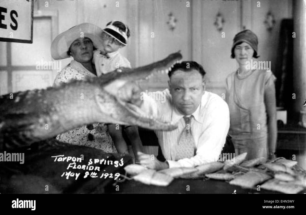 La fotografia della famiglia Miller con un alligatore ripieno, scattata a Tarpon Springs, cattura un momento unico della vita familiare dei primi anni del XX secolo. L'immagine mostra il fascino della fauna selvatica locale e della cultura familiare in Florida durante quel periodo. Foto Stock