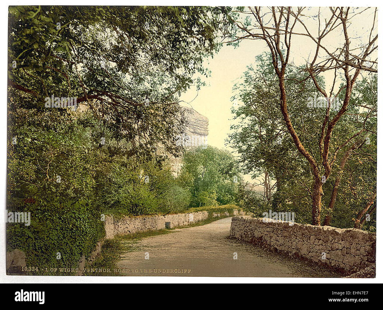 La strada per l'Undercliff di Ventnor, situata sull'isola di Wight, offre vedute pittoresche della costa. L'area è conosciuta per la sua bellezza paesaggistica, con scogliere, spiagge e vegetazione lussureggiante, che la rendono una destinazione popolare per gli amanti delle passeggiate e della natura. Foto Stock