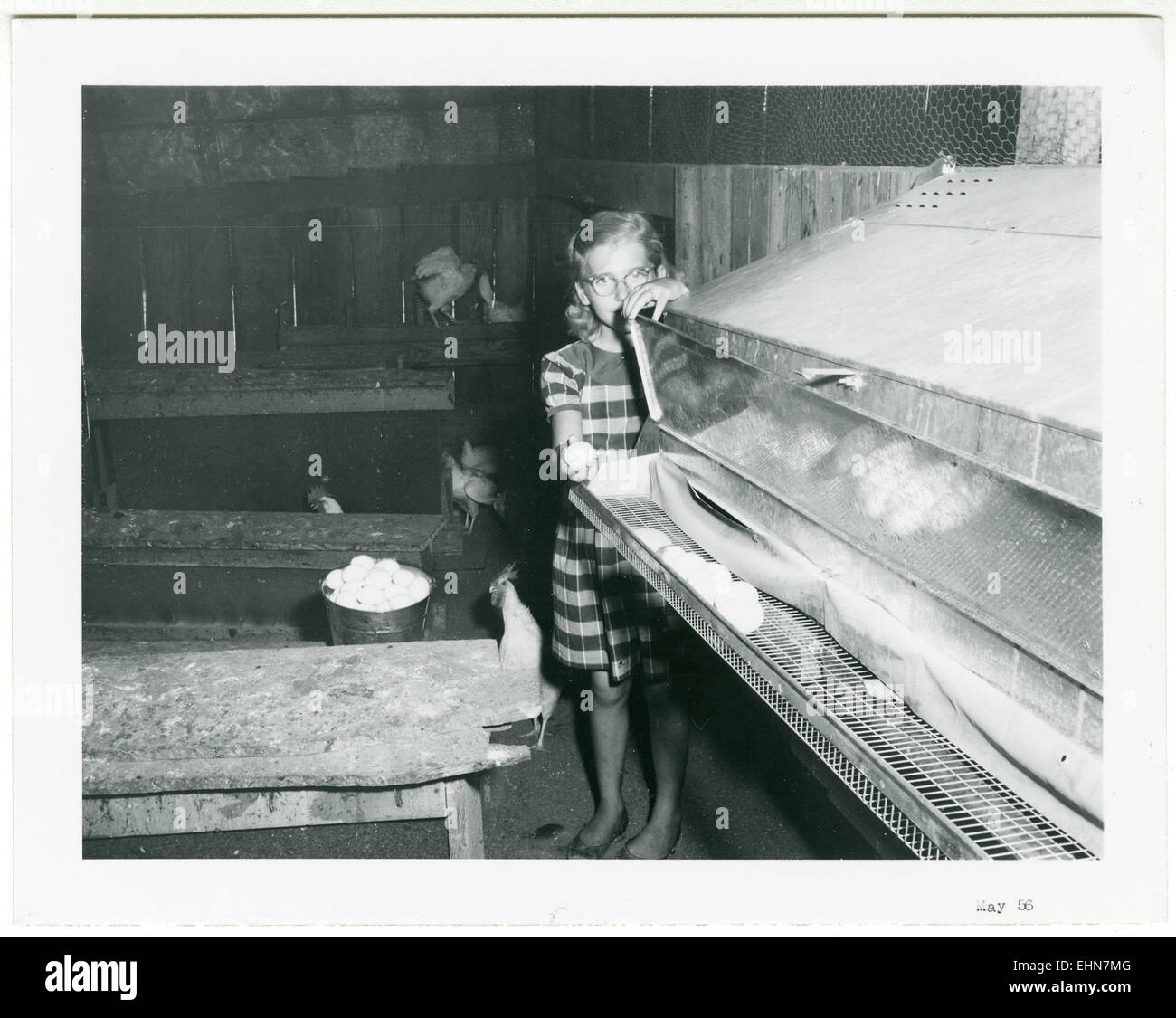 La contea di Clarke, situata nello stato americano dell'Alabama, è nota per la sua ricca storia, l'agricoltura e il ruolo svolto nella guerra civile americana. Si tratta di un'area rurale con un significativo patrimonio culturale del sud. Foto Stock