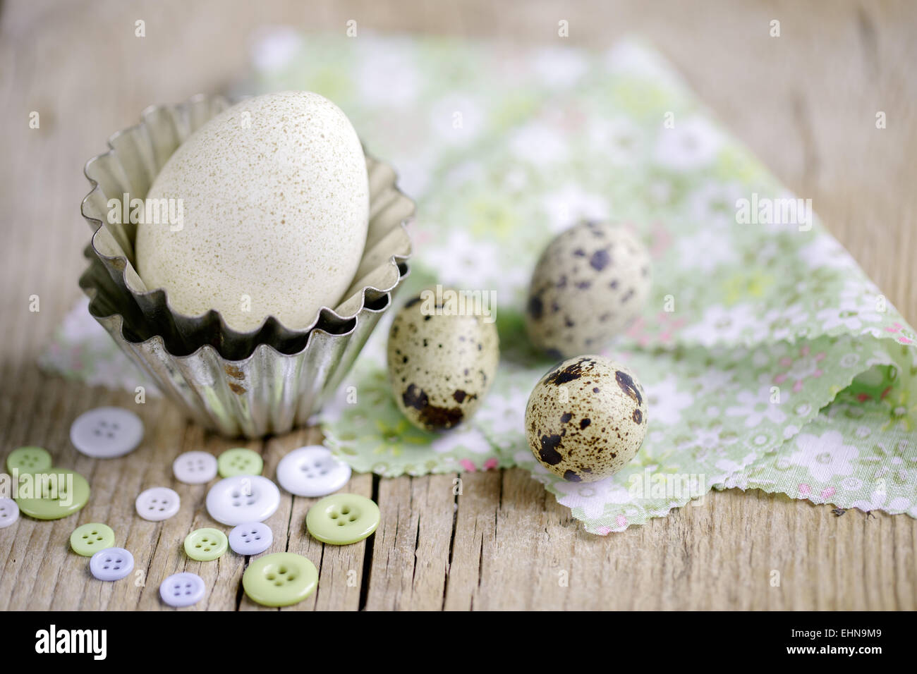 Uova di anatra e uova di quaglia Foto Stock