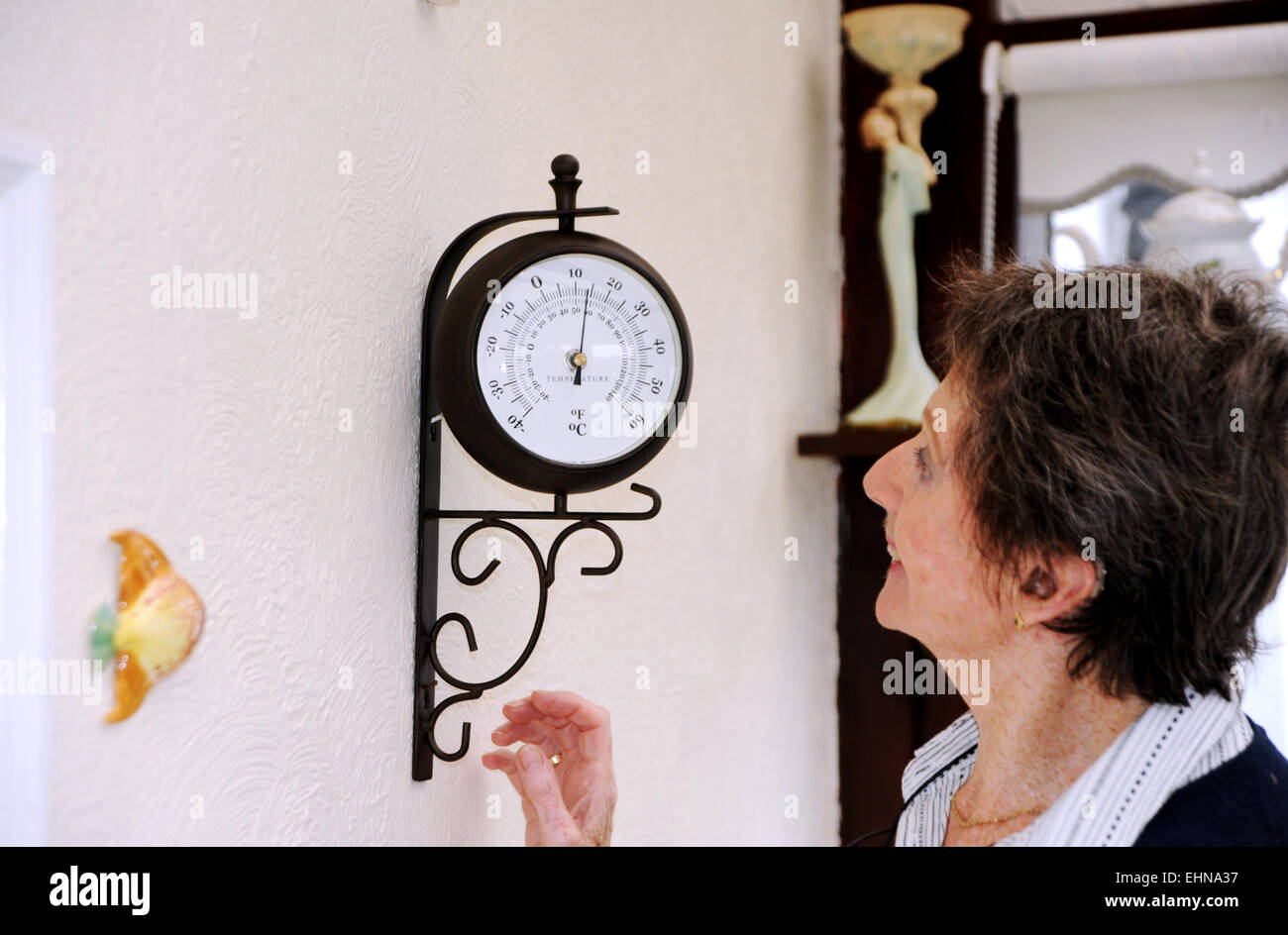Vecchiaia femmina pensionato guardando il suo indicatore di temperatura nel suo conservatorio home Foto Stock