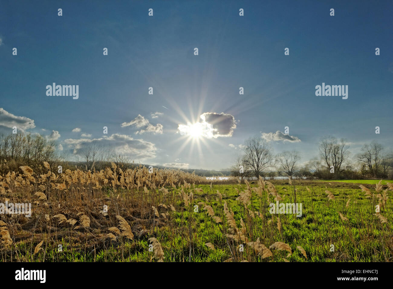 Pettine nel luminoso Nuvoloso meteo Foto Stock