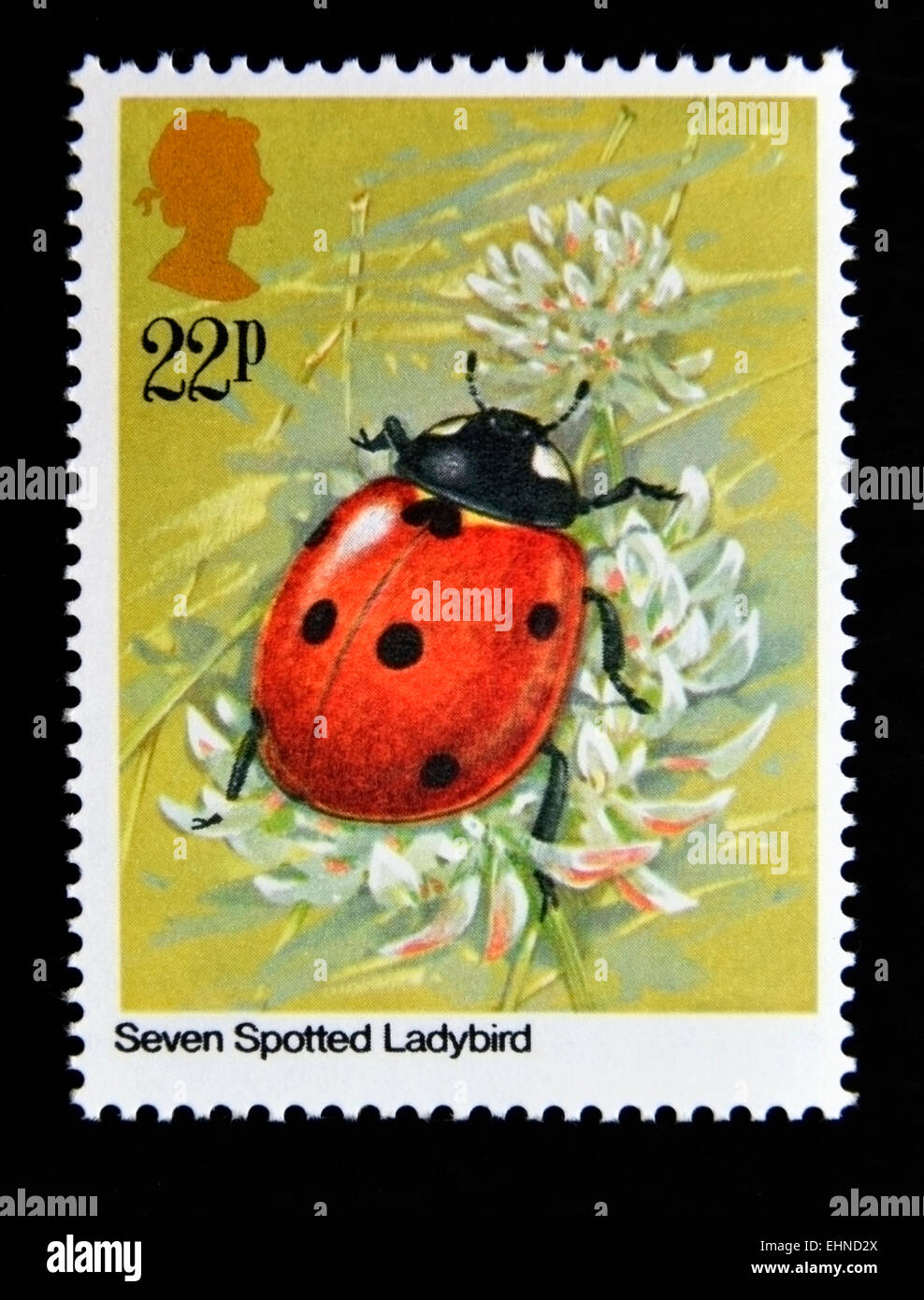 Francobollo. La Gran Bretagna. La regina Elisabetta II. 1985. Gli insetti. Sette Spotted Ladybird (Coccinella septempunctata). 22p. Foto Stock