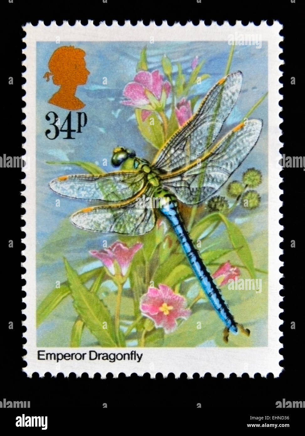 Francobollo. La Gran Bretagna. La regina Elisabetta II. 1985. Gli insetti. L'imperatore libellula (Anax imperator). 34p. Foto Stock