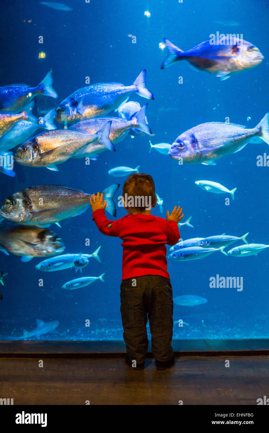 Baby boy guardando i pesci in un acquario. Foto Stock