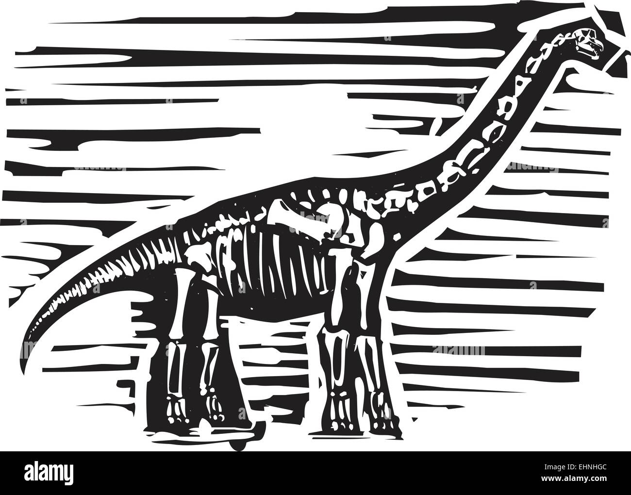 Xilografia immagine di stile di un fossile di un lungo collo o Apatosaurus brontosaurus dinosauro Illustrazione Vettoriale