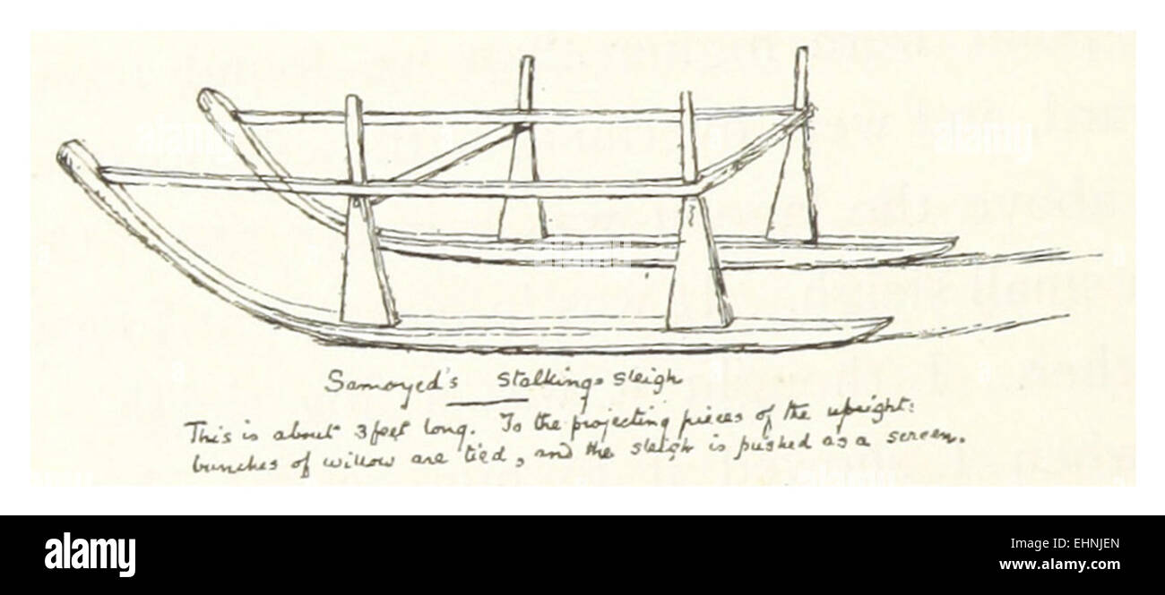 Questa illustrazione del 1895 raffigura i Samoidi, un gruppo della Siberia, che pedinano con le slitte. L'immagine mette in evidenza il loro stile di vita tradizionale e i metodi di trasporto nel difficile ambiente artico. Foto Stock