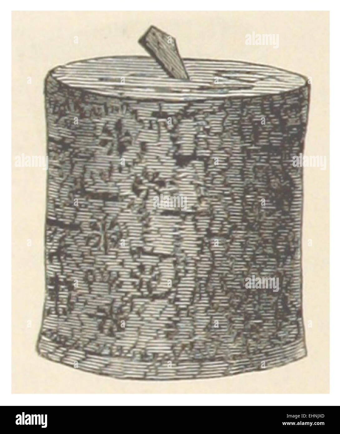 Questa illustrazione del 1881 tratta dal lavoro di Hazelius, Vol.1, mostra ABB.21, fornendo una visione dettagliata di un argomento specifico di quel volume, probabilmente relativo a temi scandinavi o storici. Foto Stock