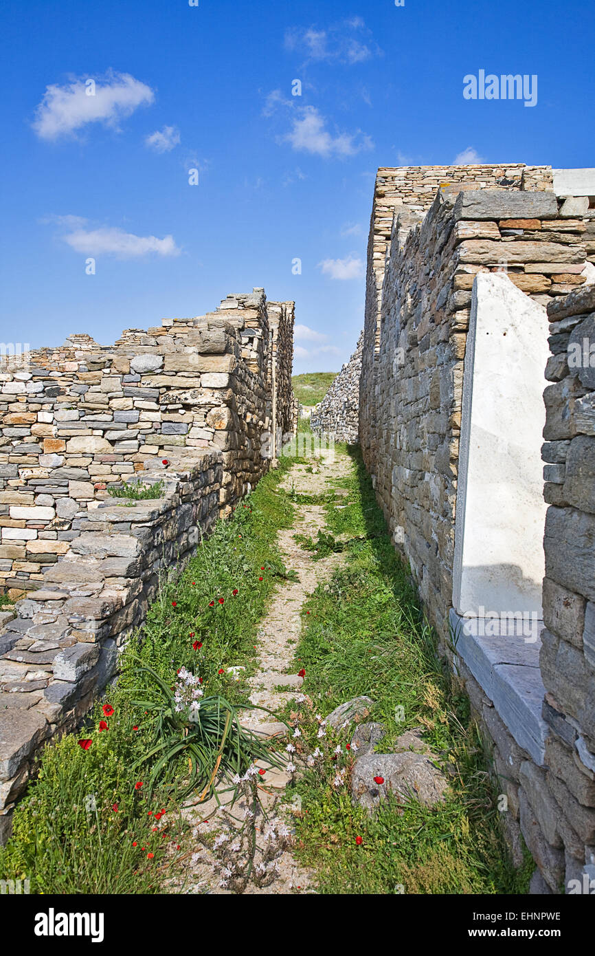 L'isola di Delos vicino a Mykonos è sempre un isola sacra. L'isola è considerato il mitologico, luogo di nascita di Apollo. Foto Stock