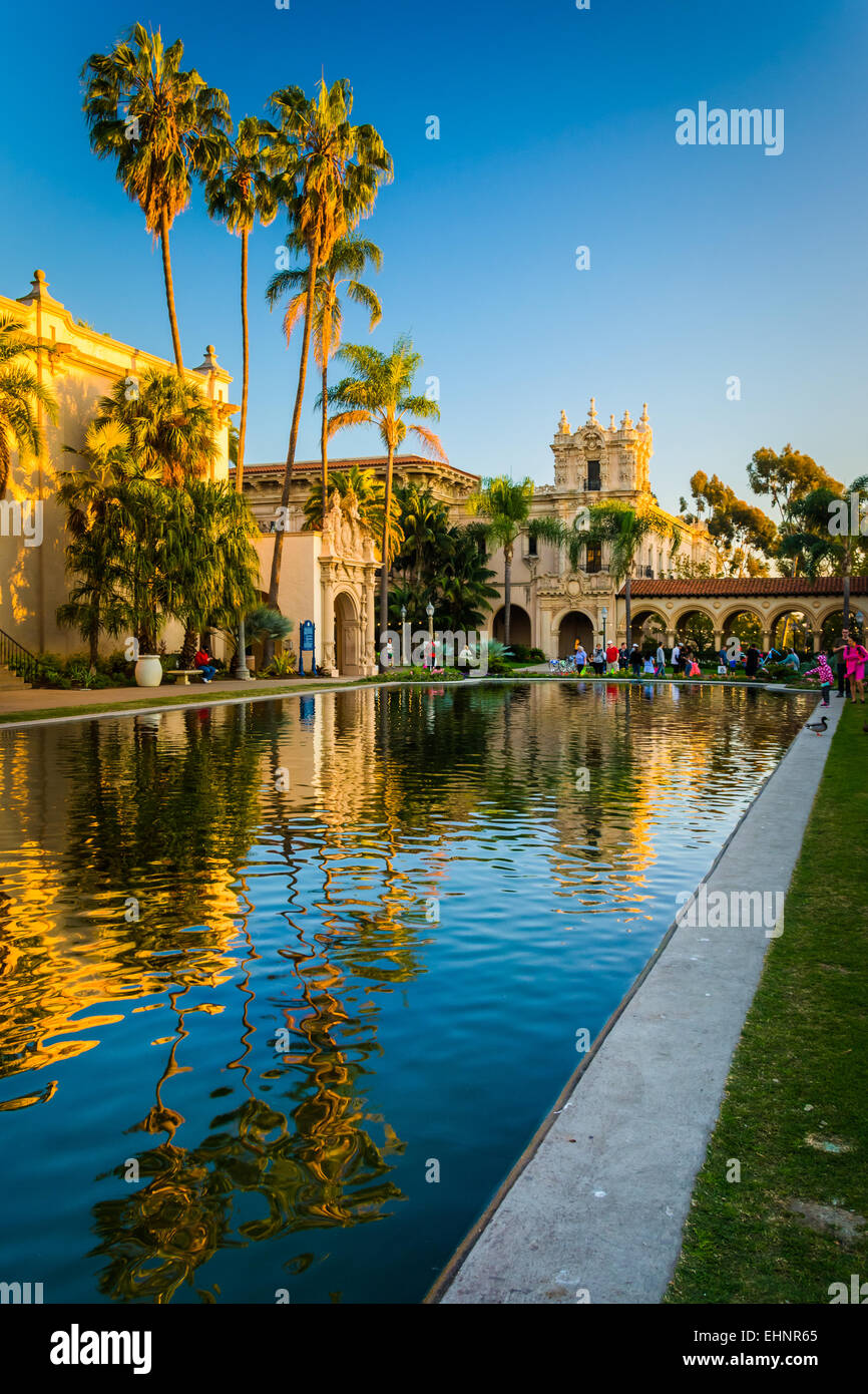 Palme ed edifici riflettente nel laghetto di gigli, al Balboa Park, a San Diego, California. Foto Stock