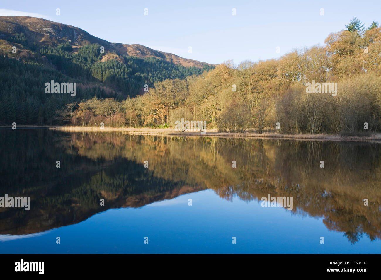 Autunno riflessioni in Loch Chon, vicino Aberfoyle, Trossachs, Stirlingshire, Scozia Foto Stock