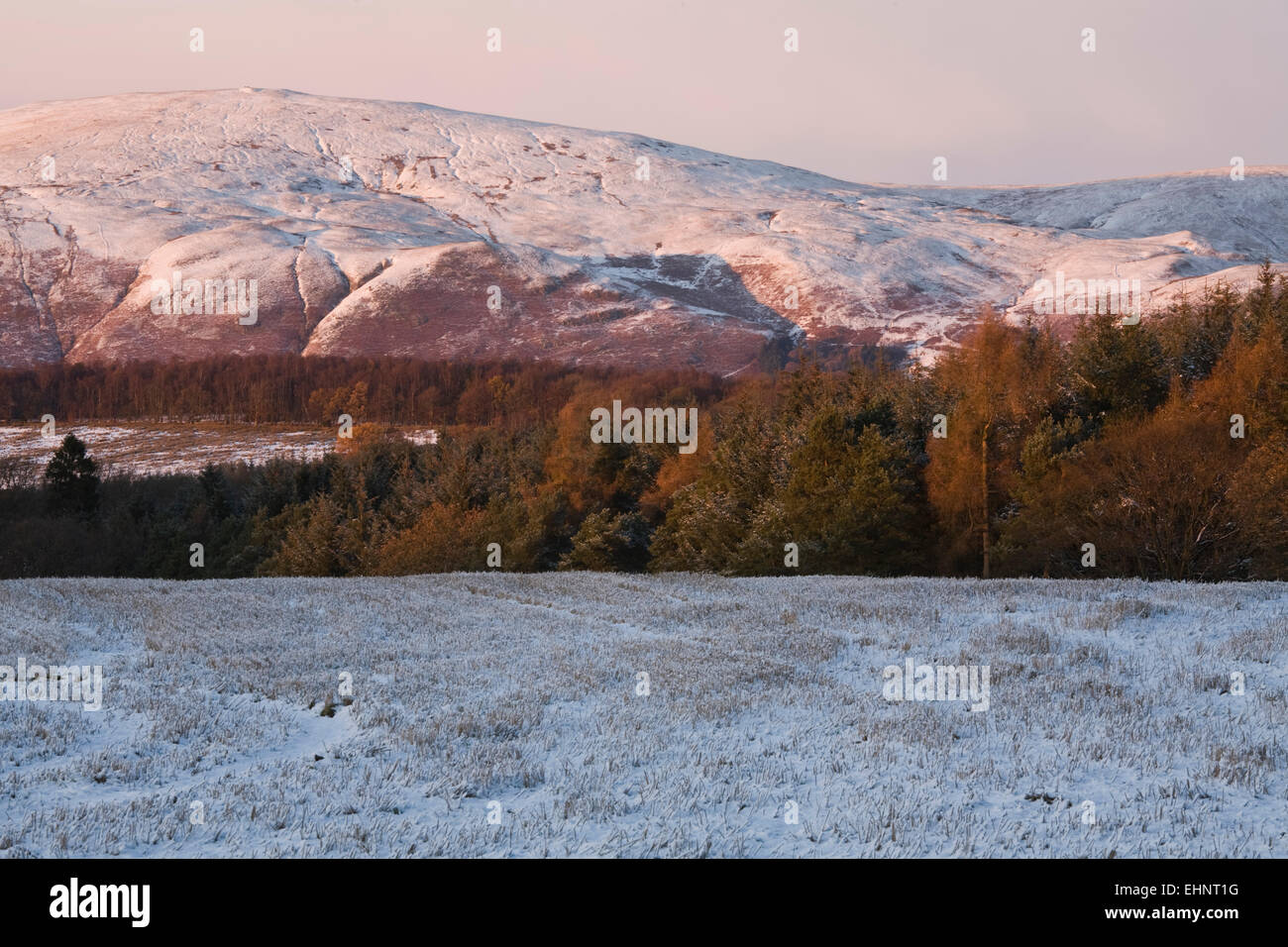 Luce della Sera su Snow capped Ochil Hills, Stirling, Stirlingshire, Scozia Foto Stock