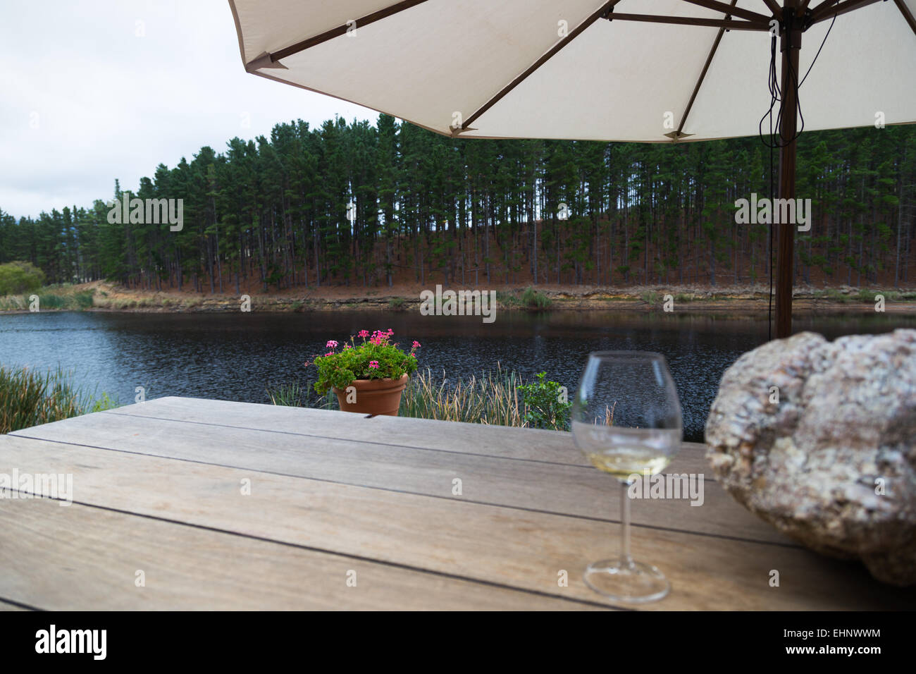 Un ambiente splendido per degustare il vino bianco in un vigneto vicino a Hermanus, Sud Africa Foto Stock