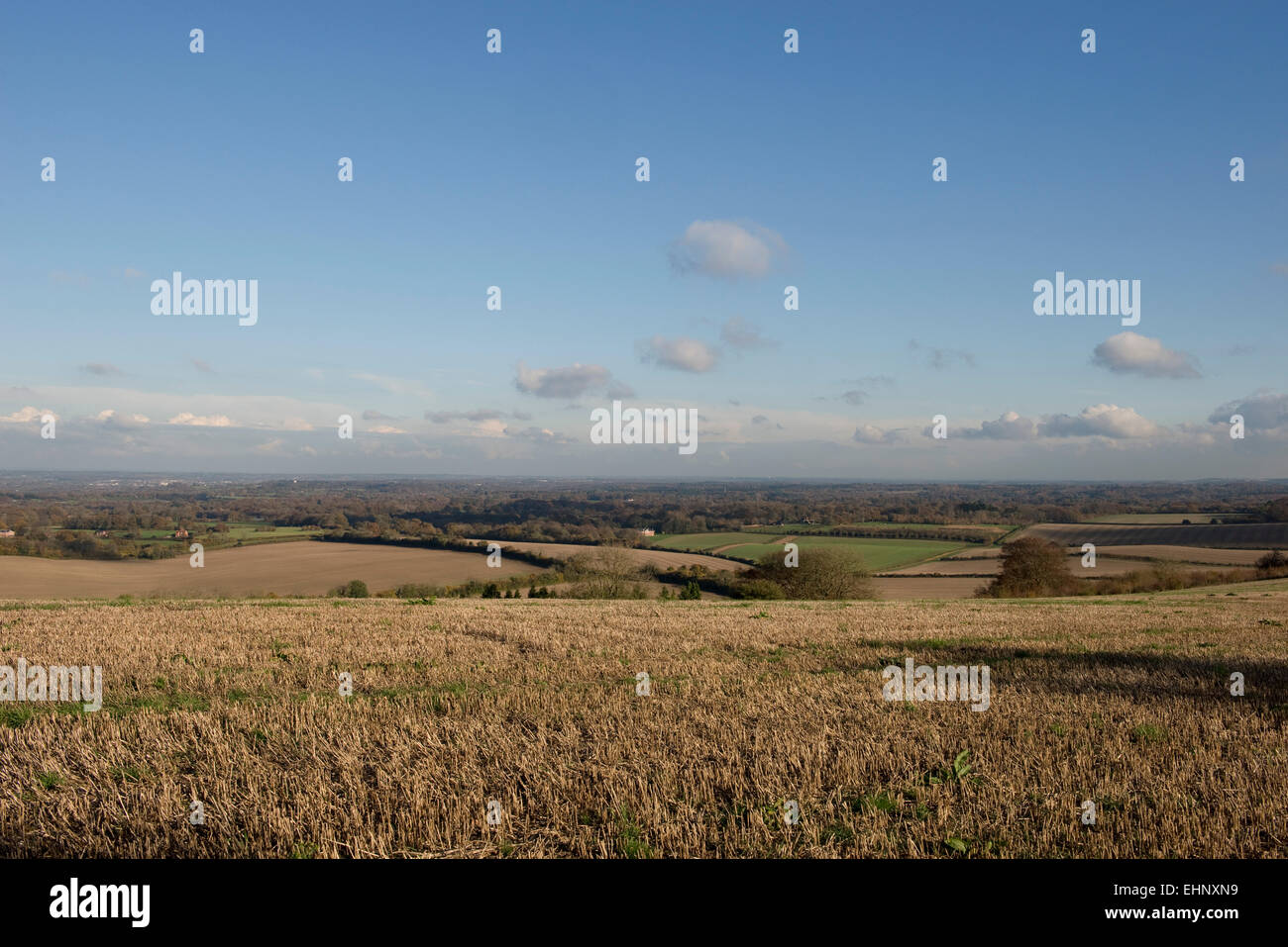 La stoppia dopo un raccolto frumento raccolto in una luminosa giornata autunnale con cielo blu e un ampia vista sulla West Berkshire, Novembe Foto Stock