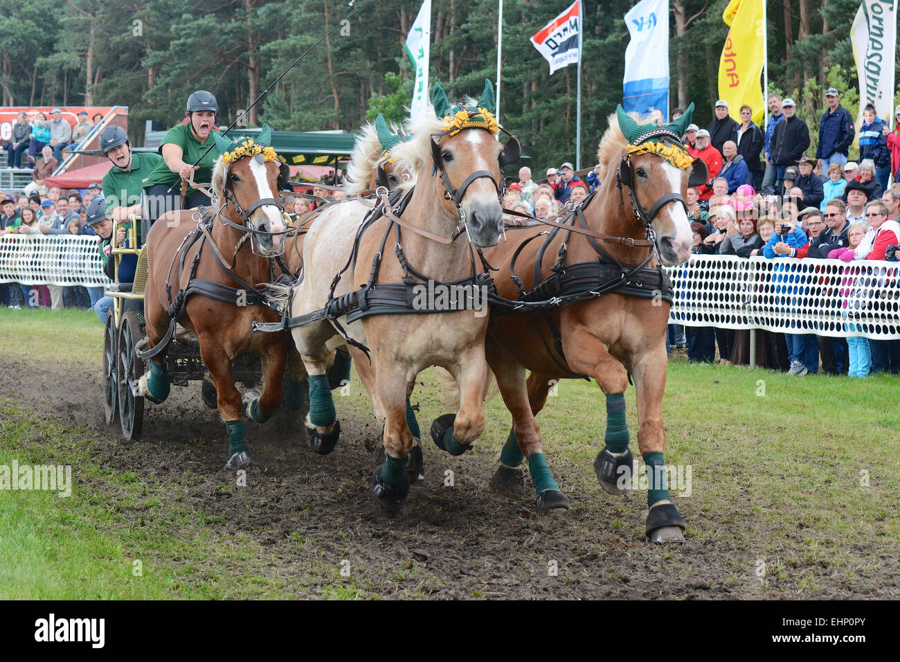 Progetto di corse di cavalli in Germania Foto Stock
