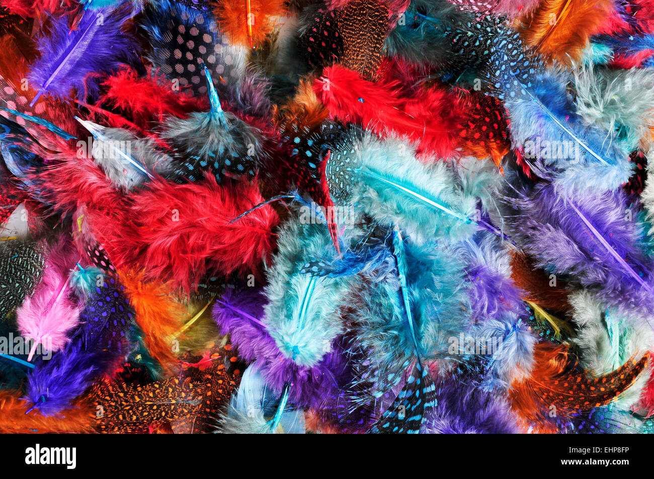 Primo piano di una pila di piume di diversi colori Foto Stock