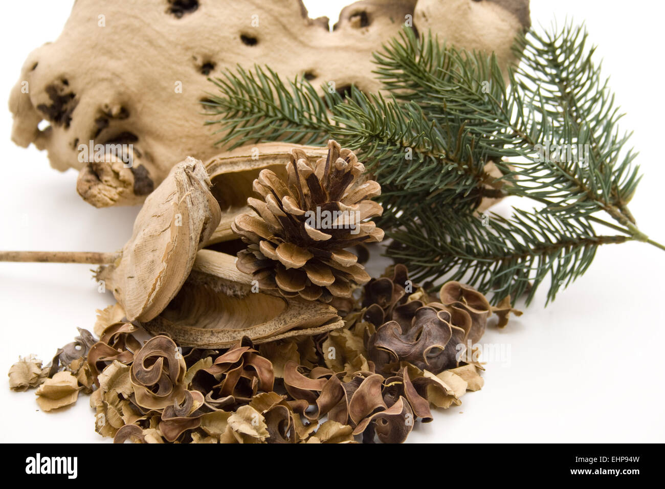 Tappi di pino con ramo di abete Foto Stock