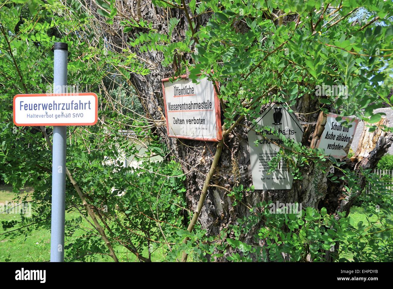 Molti segni su una struttura ad albero Foto Stock