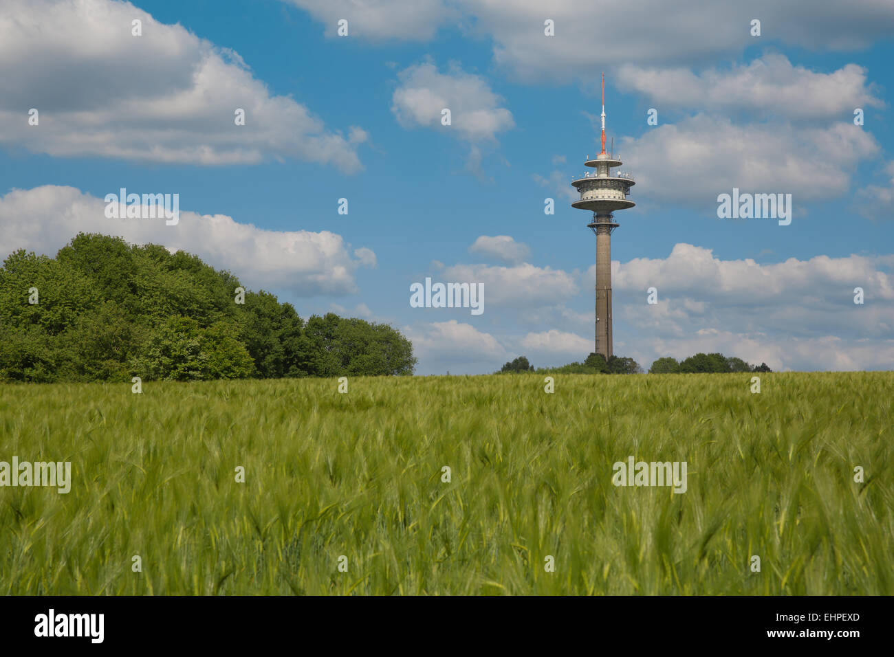 Torre della televisione Foto Stock