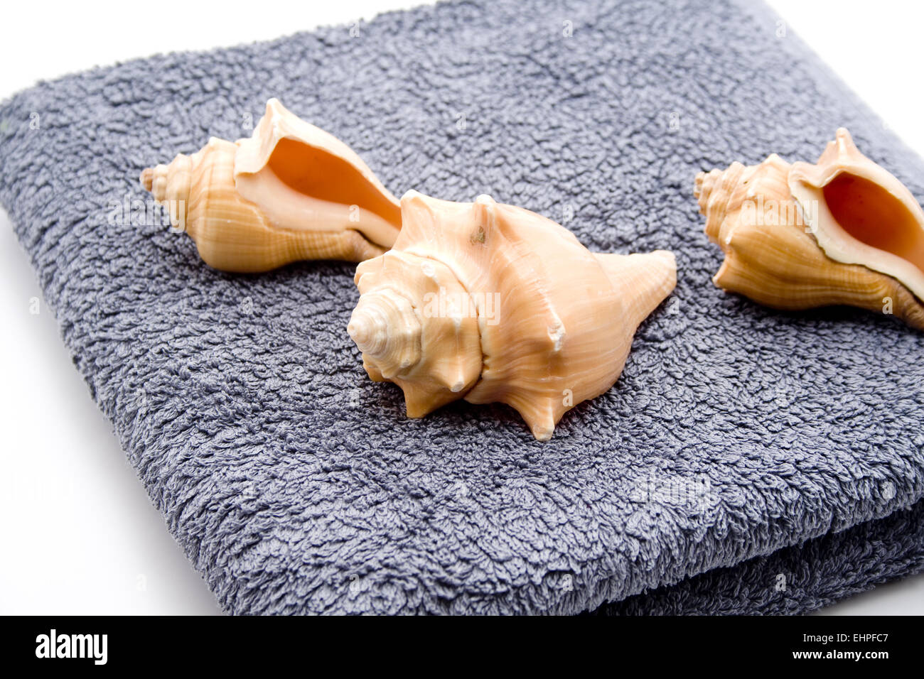 Cozza di mare su asciugamano Foto Stock