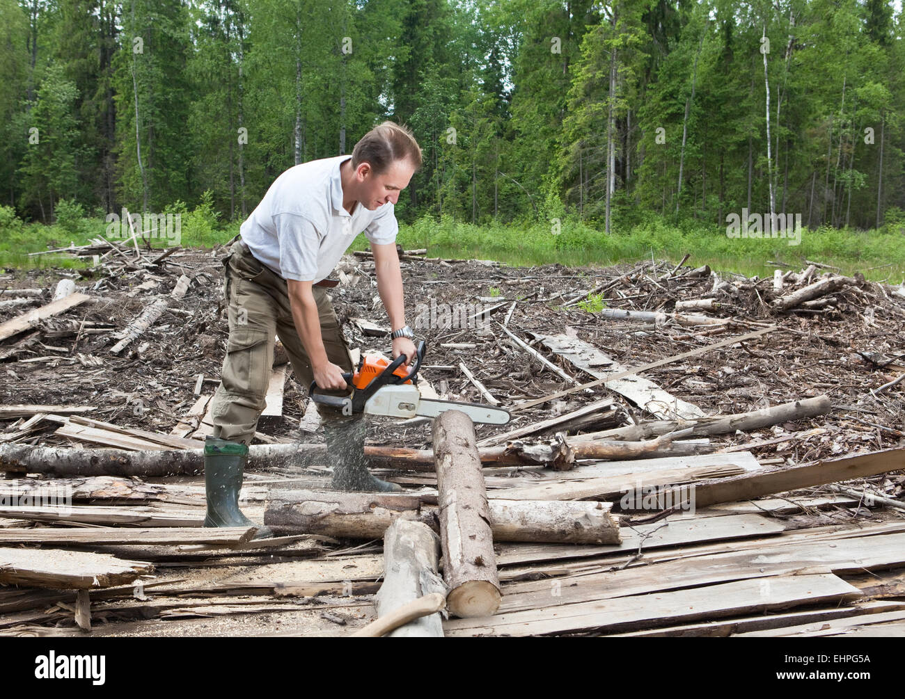 L'uomo in Seghe da legno di un albero di una sega a catena Foto Stock