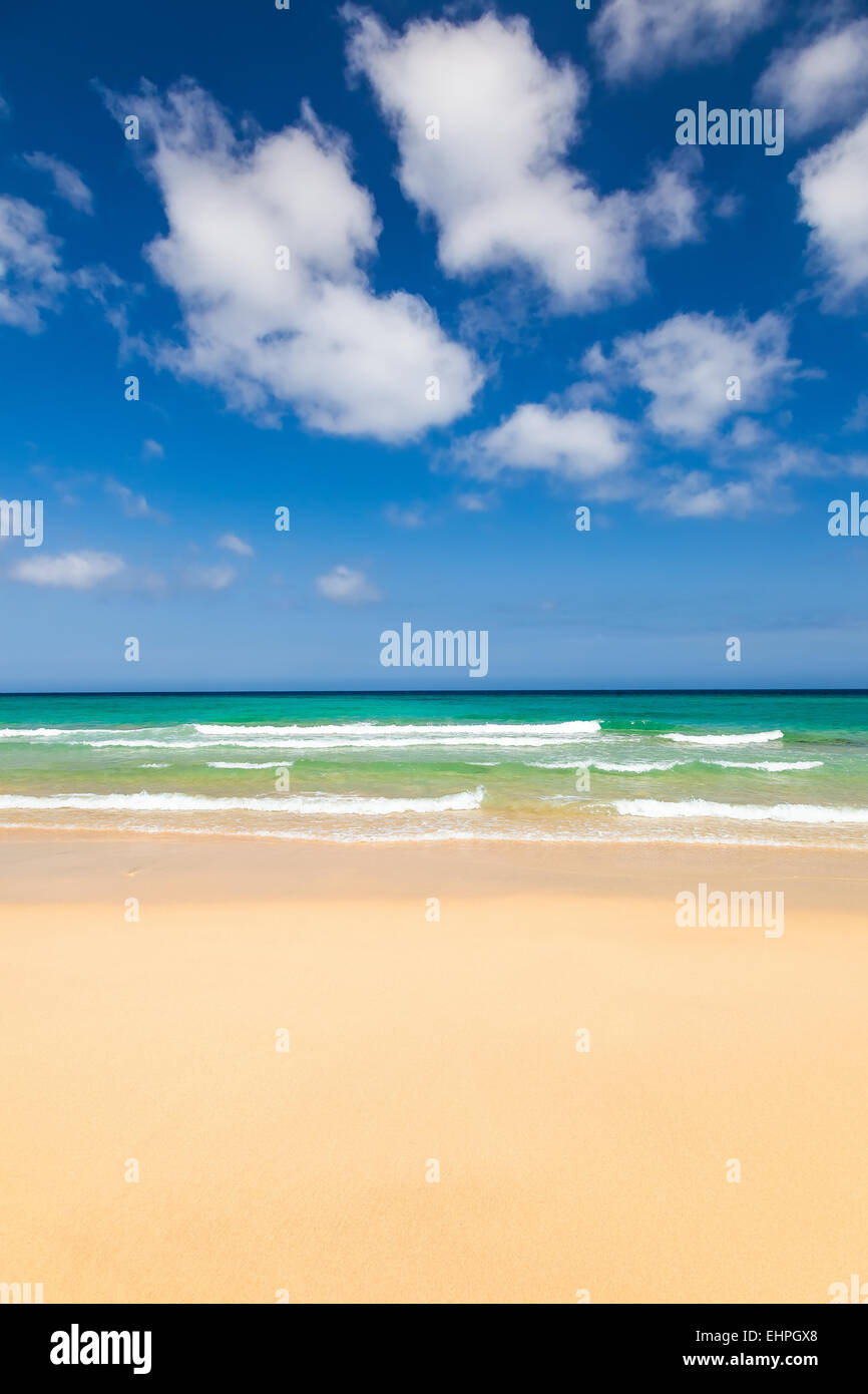 Bella spiaggia dell'oceano Foto Stock