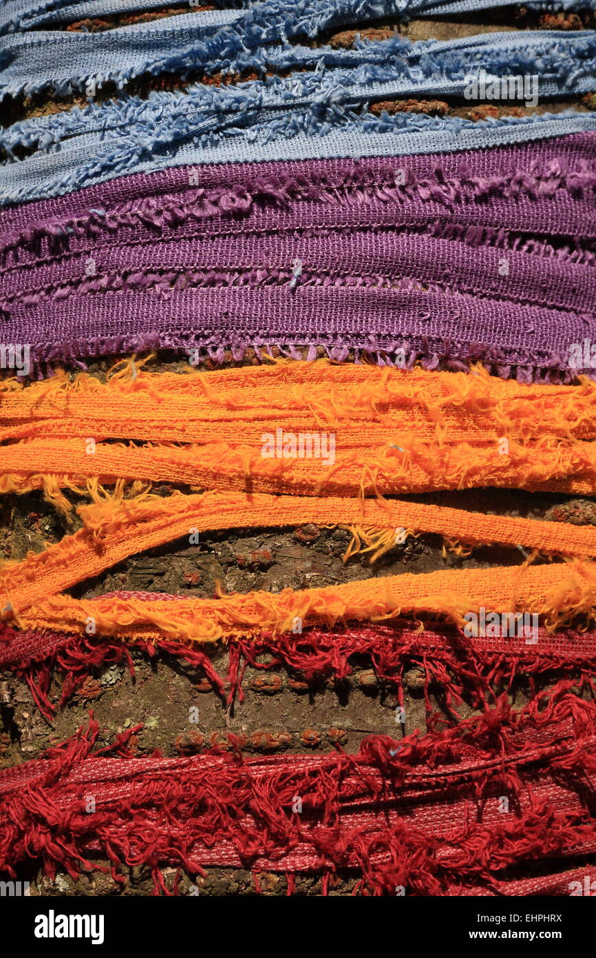 Decorate albero tronco Foto Stock