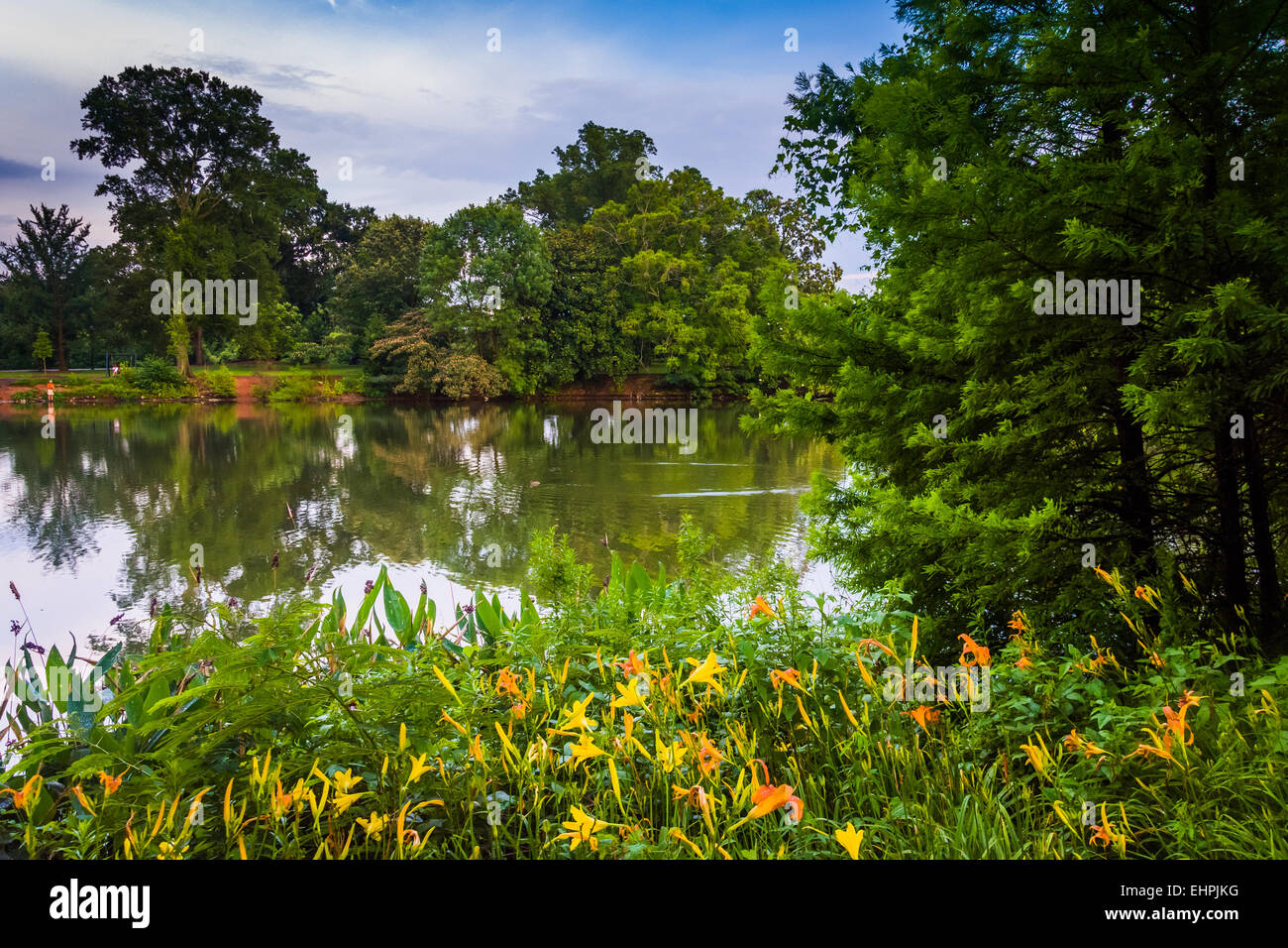 Fiori e alberi lungo la riva del lago di Clara Meer a Piedmont Park, Atlanta, Georgia. Foto Stock