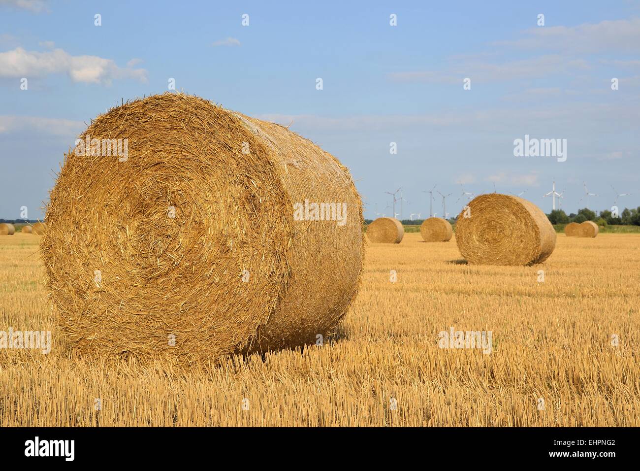 Round le balle di paglia in un campo Foto Stock