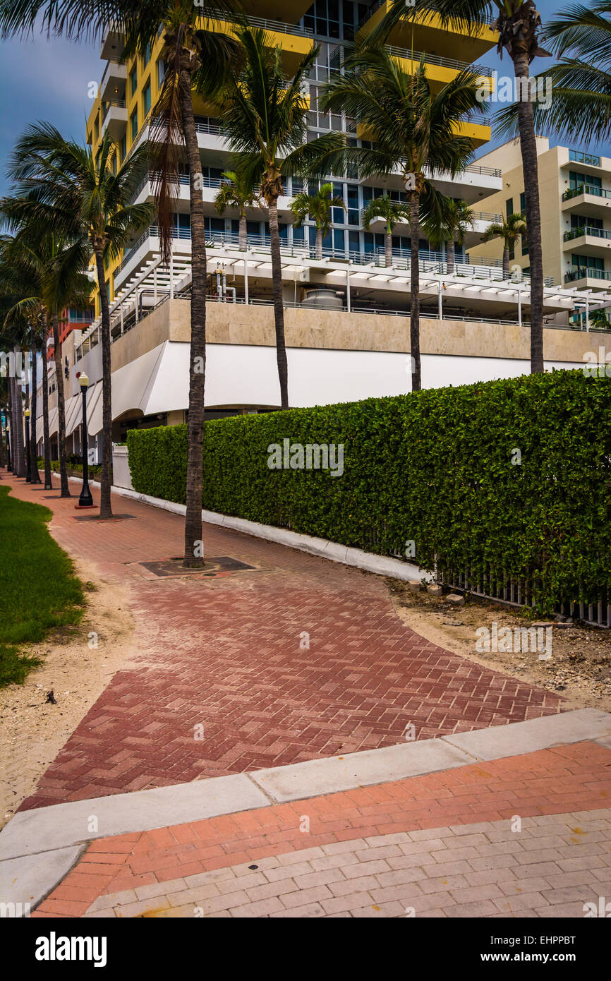 Hotel e palme a Miami Beach, in Florida. Foto Stock